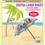 DDS Laser Teslin ID Card Sheets – 100 Sheets – Compatible with All Laser Printers